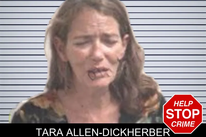 Tara Allen-Dickherber mugshot – Henry County , Georgia Tara Allen-Dickherber mugshot