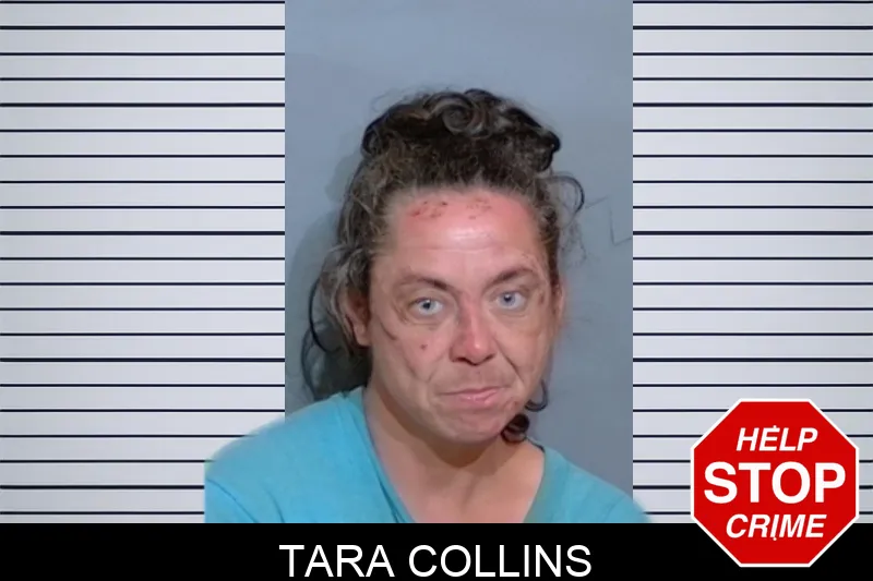 Tara Collins mugshot