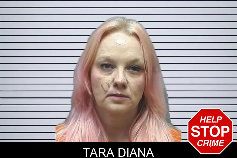 Tara Diana mugshot – Cherokee County , Georgia Tara Diana mugshot