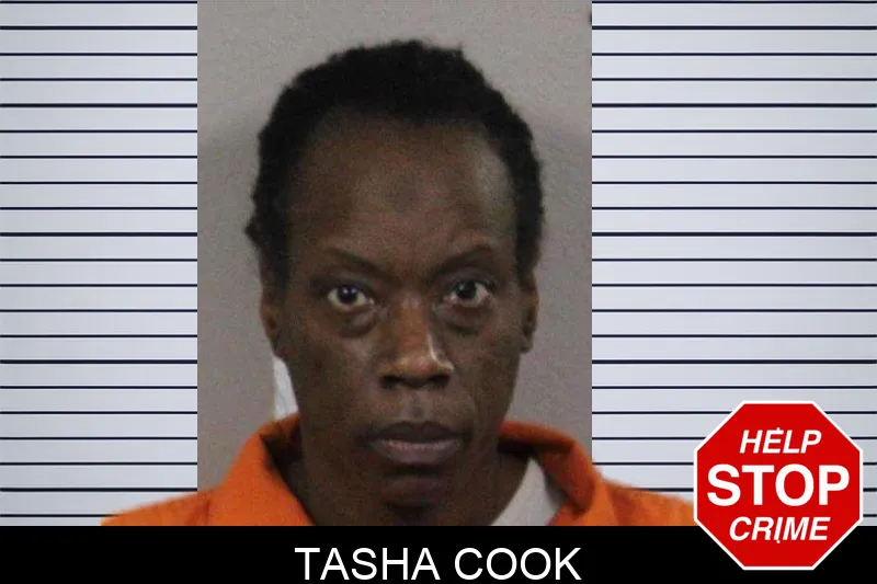 Tasha Cook mugshot – Lamar County , Georgia Tasha Cook mugshot