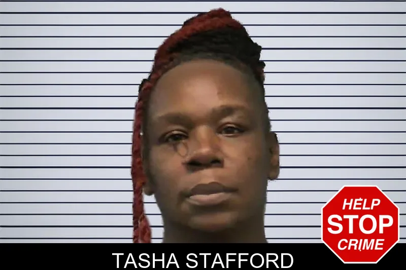 Tasha Stafford mugshot – Ware County , Georgia Tasha Stafford mugshot