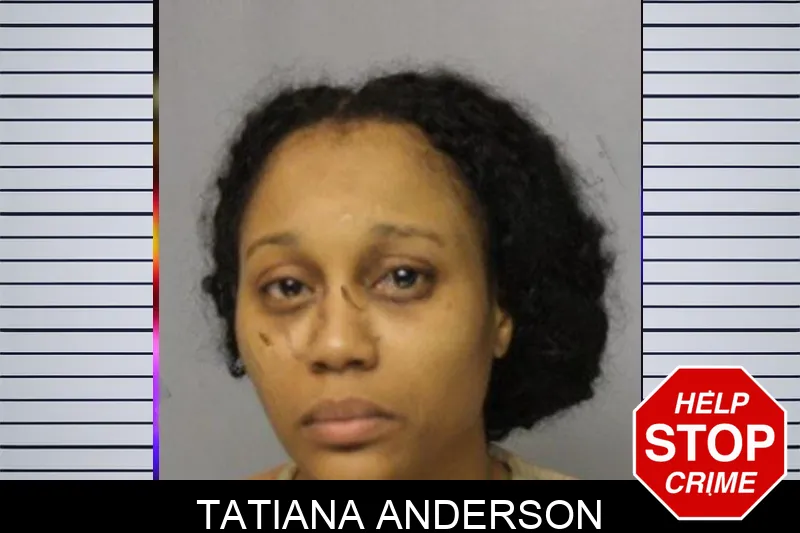 Tatiana Anderson mugshot – Hall County , Georgia Tatiana Anderson mugshot