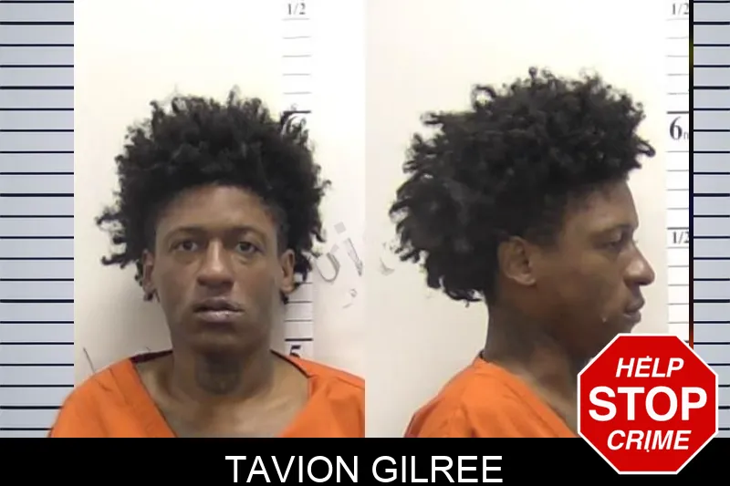 Tavion Gilree mugshot