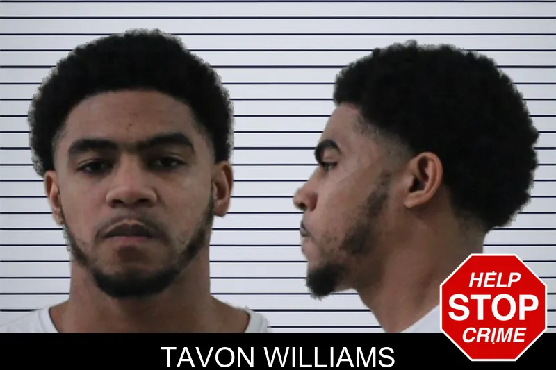 Tavon Williams mugshot – Houston County , Georgia Tavon Williams mugshot