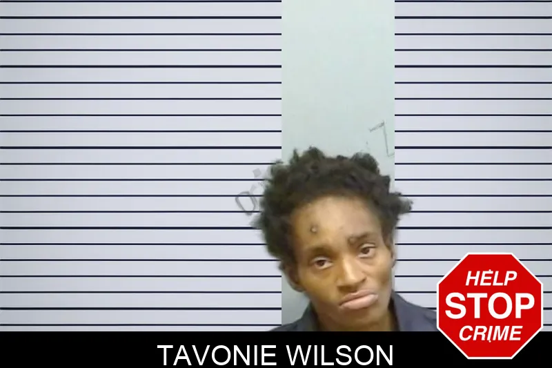 Tavonie Wilson mugshot – Fulton County , Georgia Tavonie Wilson mugshot