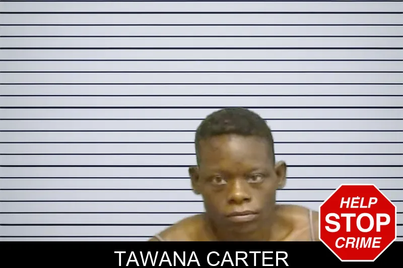 Tawana Carter mugshot – Fulton County , Georgia Tawana Carter mugshot