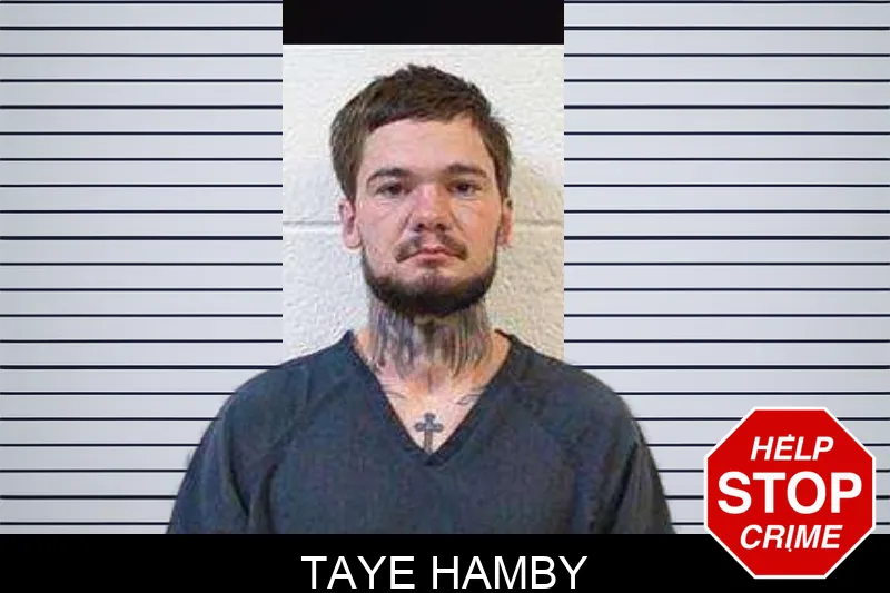 Taye Hamby mugshot