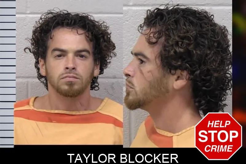 Taylor Blocker mugshot – Paulding County , Georgia Taylor Blocker mugshot