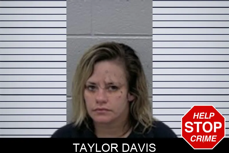 Taylor Davis mugshot