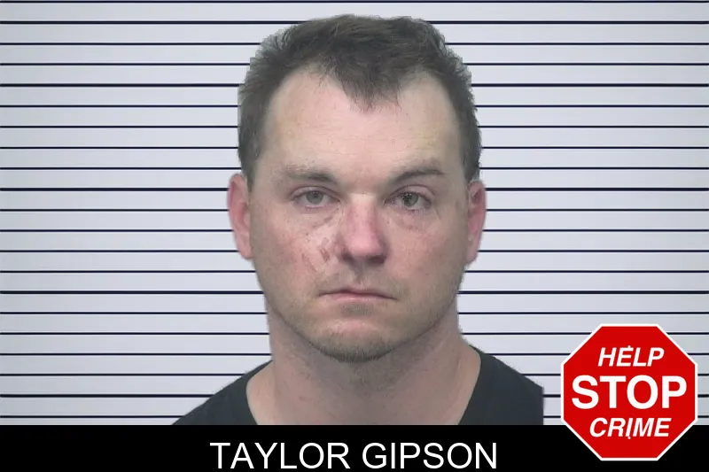 Taylor Gipson mugshot – Gwinnett County , Georgia Taylor Gipson mugshot