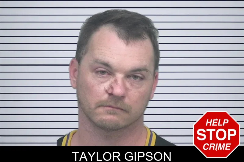 Taylor Gipson mugshot – Gwinnett County , Georgia Taylor Gipson mugshot