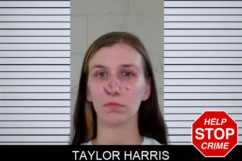 Taylor Harris mugshot – Liberty County , Georgia Taylor Harris mugshot
