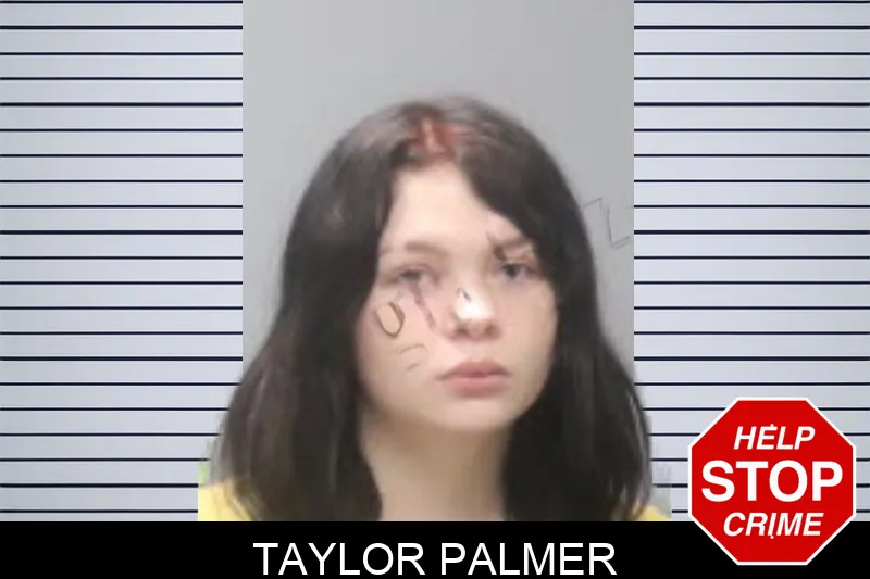 Taylor Palmer mugshot – Muscogee County , Georgia Taylor Palmer mugshot
