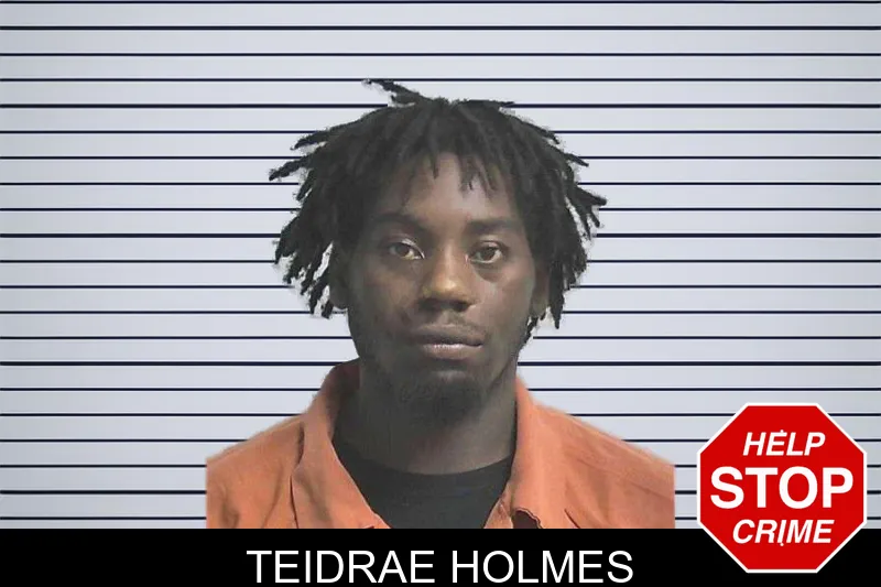 Teidrae Holmes mugshot – Colquitt County , Georgia Teidrae Holmes mugshot