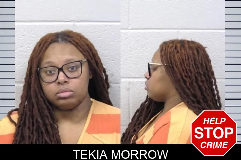 Tekia Morrow mugshot – Paulding County , Georgia Tekia Morrow mugshot