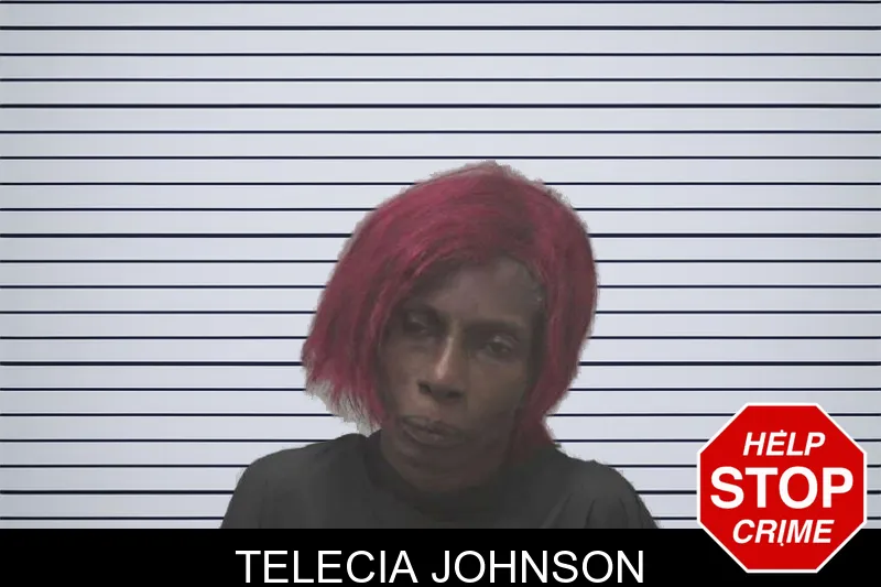 Telecia Johnson mugshot
