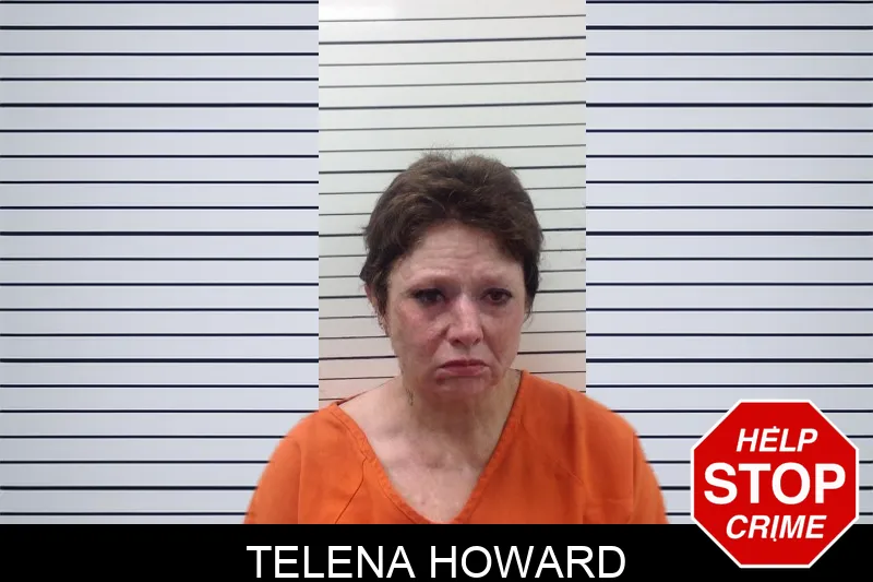 Telena Howard mugshot – Pickens County , Georgia Telena Howard mugshot