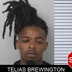 Telias Brewington mugshot – Mcintosh County , Georgia Telias Brewington mugshot