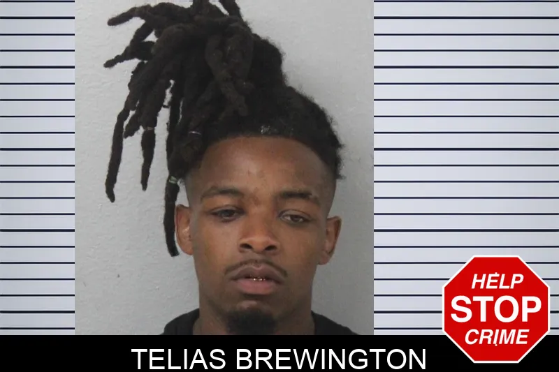 Telias Brewington mugshot – Mcintosh County , Georgia Telias Brewington mugshot