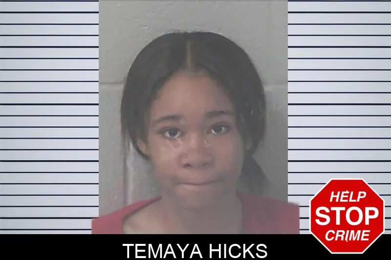 Temaya Hicks mugshot – Newton County , Georgia Temaya Hicks mugshot