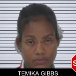 Temika Gibbs mugshot – Fayette County , Georgia Temika Gibbs mugshot