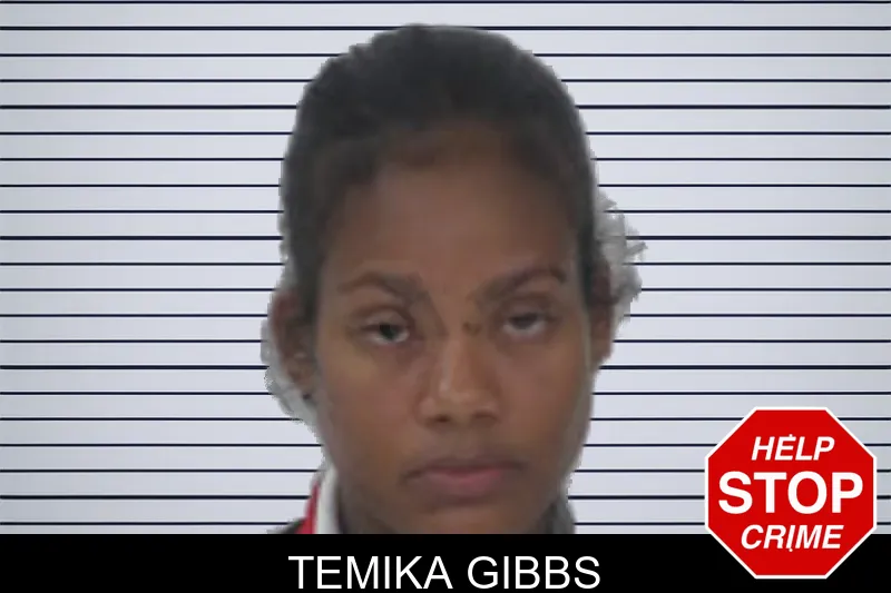 Temika Gibbs mugshot – Fayette County , Georgia Temika Gibbs mugshot