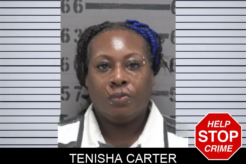 Tenisha Carter mugshot – Dougherty County , Georgia Tenisha Carter mugshot