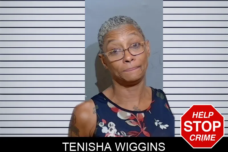 Tenisha Wiggins mugshot – Glynn County , Georgia Tenisha Wiggins mugshot
