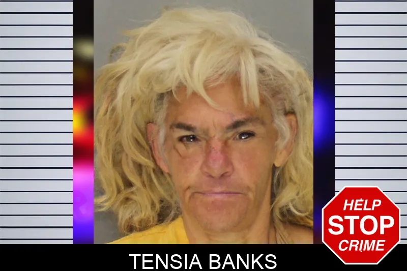 Tensia Banks mugshot – Cobb County , Georgia Tensia Banks mugshot