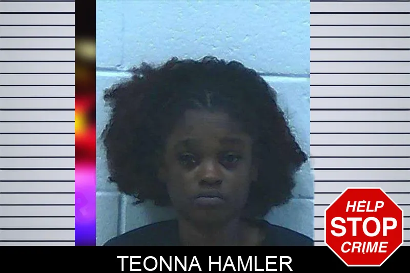 Teonna Hamler mugshot