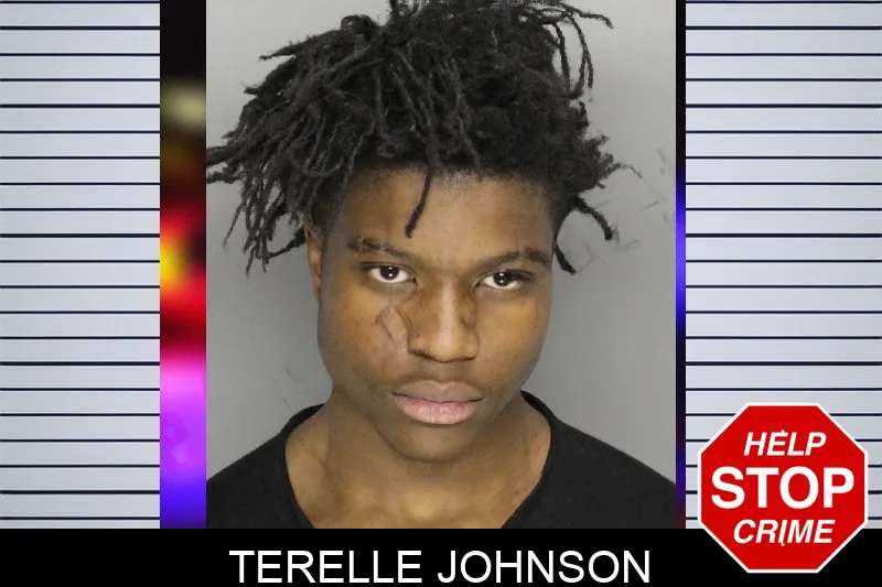 Terelle Johnson mugshot – Cobb County , Georgia Terelle Johnson mugshot