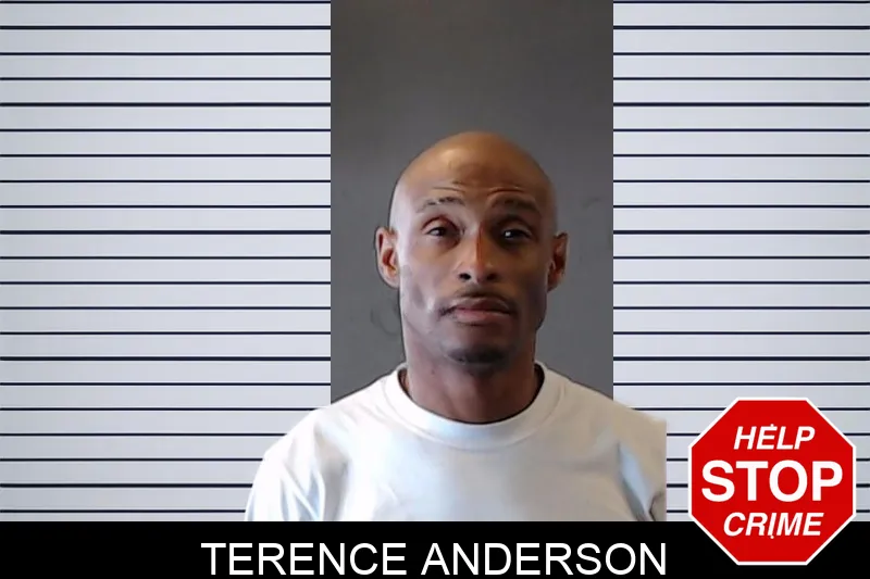 Terence Anderson mugshot – DeKalb County , Georgia Terence Anderson mugshot