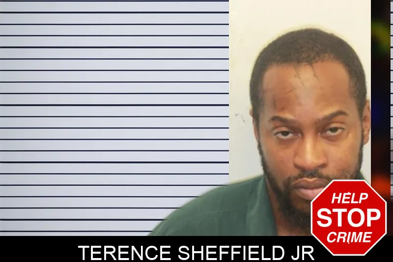 Terence Sheffield Jr mugshot – Chatham County , Georgia Terence Sheffield Jr mugshot
