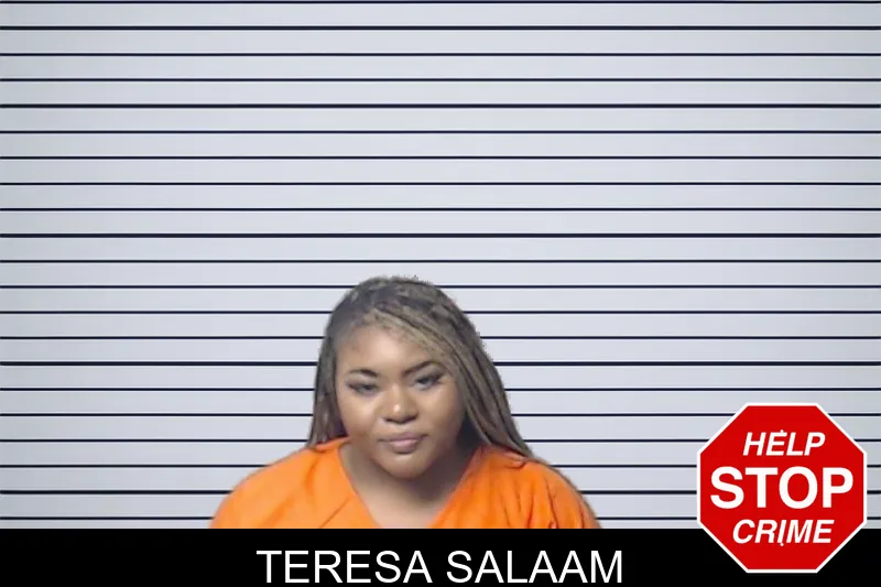 Teresa Salaam mugshot – DeKalb County , Georgia Teresa Salaam mugshot