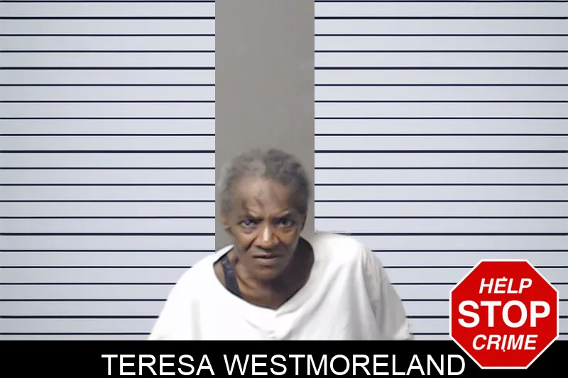 Teresa Westmoreland mugshot – DeKalb County , Georgia Teresa Westmoreland mugshot