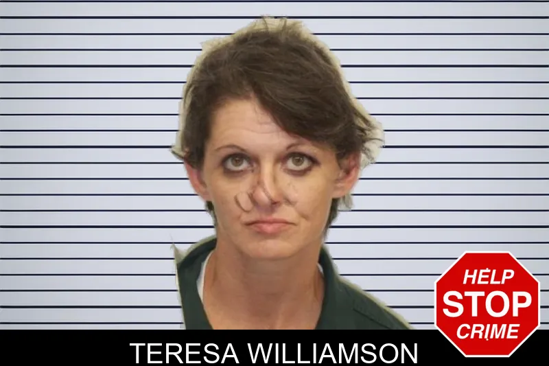 Teresa Williamson mugshot – Chatham County , Georgia Teresa Williamson mugshot
