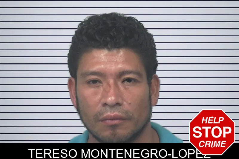 Tereso Montenegro-Lopez mugshot