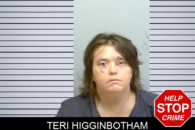 Teri Higginbotham mugshot – Fulton County , Georgia Teri Higginbotham mugshot