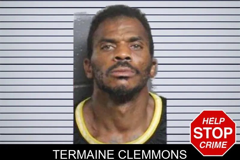 Termaine Clemmons mugshot – Bacon County , Georgia Termaine Clemmons mugshot