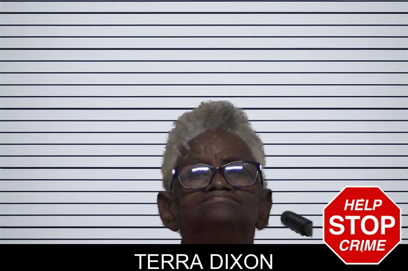 Terra Dixon mugshot – Laurens County , Georgia Terra Dixon mugshot
