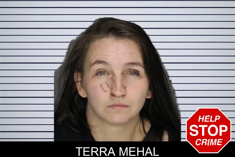 Terra Mehal mugshot – Cobb County , Georgia Terra Mehal mugshot