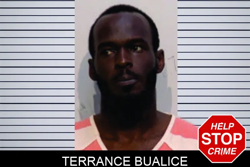 Terrance Bualice mugshot – Bartow County , Georgia Terrance Bualice mugshot