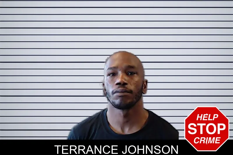 Terrance Johnson mugshot
