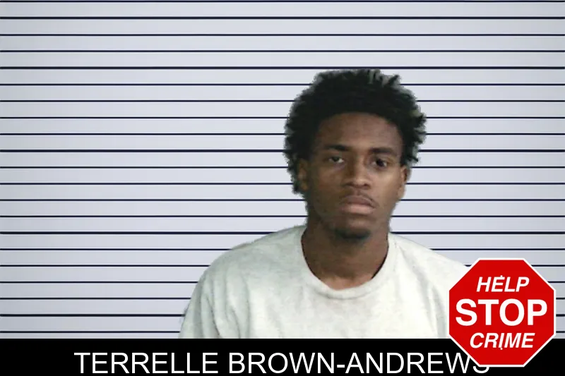 Terrelle Brown-Andrews mugshot – Twiggs County , Georgia Terrelle Brown-Andrews mugshot