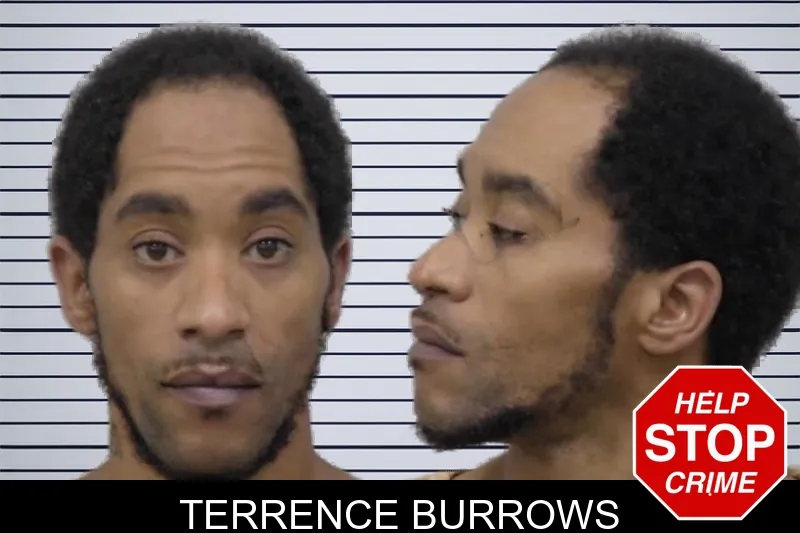 Terrence Burrows mugshot – Paulding County , Georgia Terrence Burrows mugshot