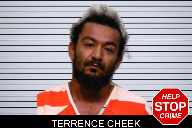 Terrence Cheek mugshot