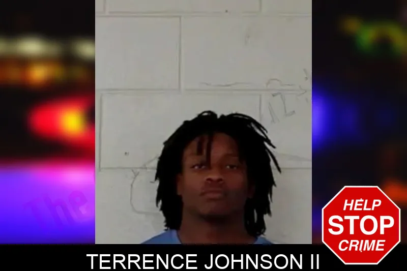 Terrence Johnson II mugshot