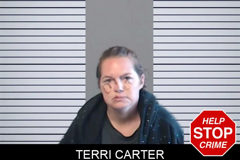 Terri Carter mugshot