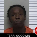 Terri Goodwin mugshot
