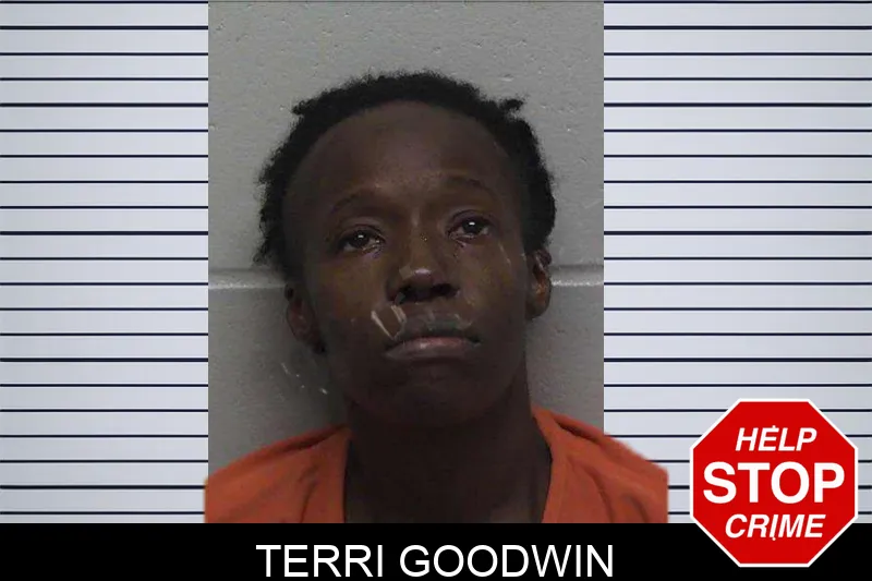 Terri Goodwin mugshot – Laurens County , Georgia Terri Goodwin mugshot
